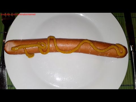 German sausages Bratwurst Dulano LIDL: How to make in the microwave