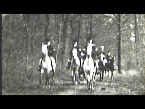 A Wild Boar Hunt / Chasse au Sanglier