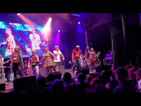 My Son Thr Hurricane at Grape and Wine Fest 2023 "Bottles into Money"