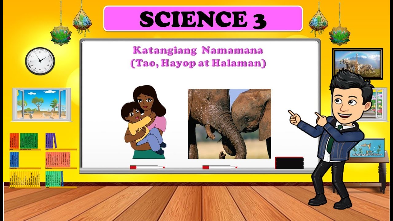 HEREDITY - Mga Katangiang Namamana ng Tao, Hayop at Halaman - SCIENCE 3 - QUARTER 2