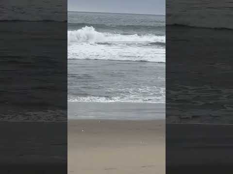 California Beach | LA | USA | #relaxing #youtubeshorts #beachlife #beaches #beachvibes #travel