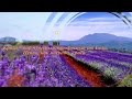 Какие красивые люди бывают! 