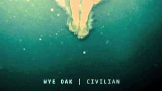 Wye Oak - We Were Wealth