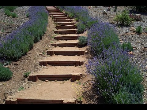 How To Calculate Vertical Hillside Rise to Build Stairs