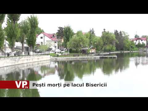 Pești morți pe lacul Bisericii