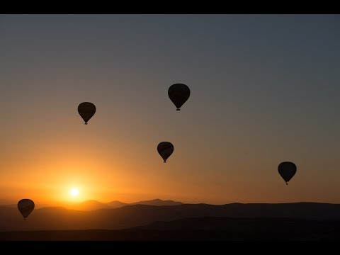 Semi di Resurrezione - Alleluia - Lunedì 13 Aprile 2020