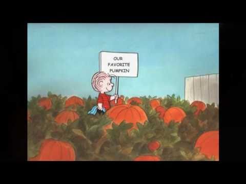 Guess which one is our favorite pumpkin