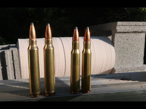 300 win mag VS 30-06 - How Many Paper Plates???