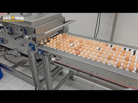 OS-1 egg coating system - Video Demo 9