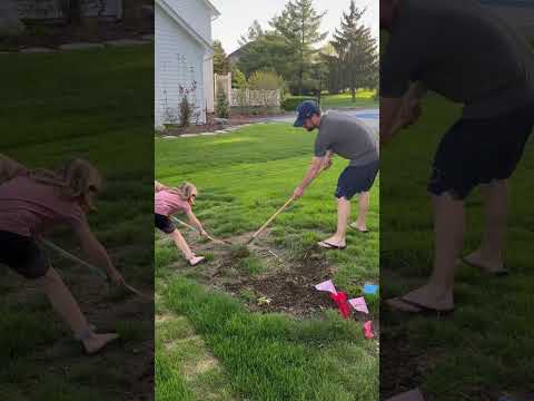 Tips for Seeding and Maintaining Your Lawn