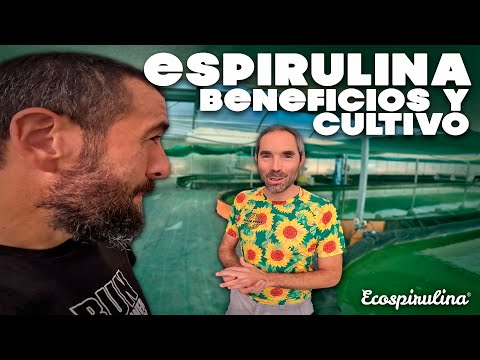 ESPIRULINA➡ Beneficios y Cultivo 🦠