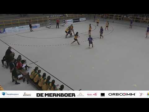 geonius Ven L DS1 -  BFC DS1