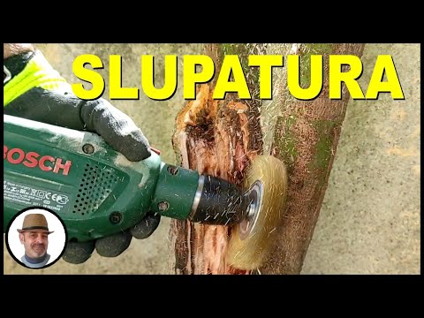 SLUPATURA della pianta con attrezzi meccanici