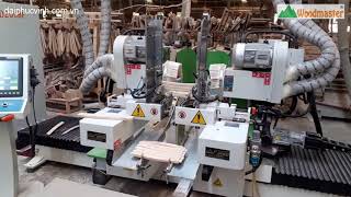 Woodmaster | Fully auto double end tenoner from Vietnam