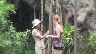 preview picture of video 'Bali Safari Park'