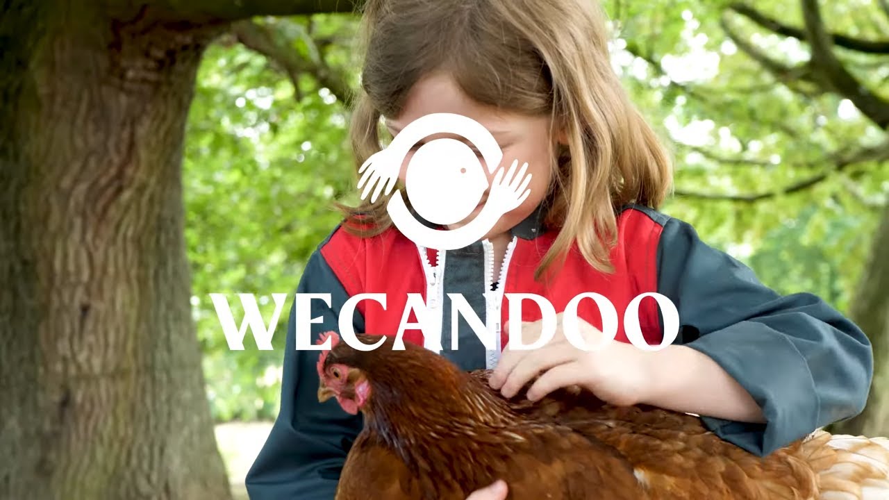 Découvrez un élevage de poules et repartez avec des œufs frais - Vidéo