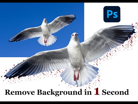 SOLSOFT: REMOVE BACKGROUND FROM ANY IMAGE IN ONLY ONE SECOND | ADOBE PHOTOSHOP CC
