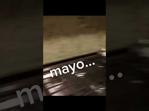 PEQUEÑO TIMMY 😭 | créditos a Missa @MissaSinfonia