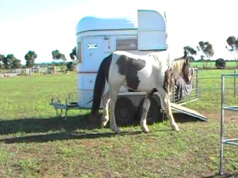 LIBERTY FLOAT LOADING Whispering Sands