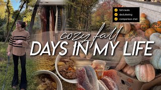 DAYS IN MY LIFE | decluttering, fall mall outing, cooking cozy dinners, comparison & motherhood chat