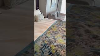 First Look: Sun Princess Deluxe Balcony Cabin 12521 #sunprincess #cabintour #travel #luxury