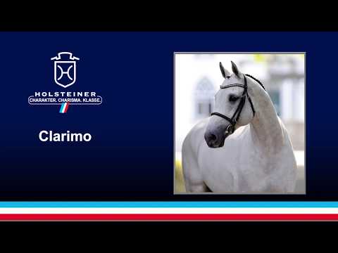 Die Verbandshengste 2020 - Clarimo v. Clearway-Caletto II