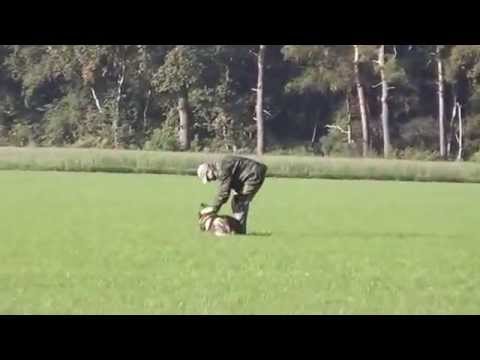 Atze vom Spektefeld Fährte IPO3 2012 99P V