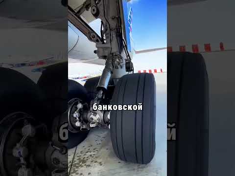 🛞Безопасность без компромиссов: когда резина важнее золота 🛠️