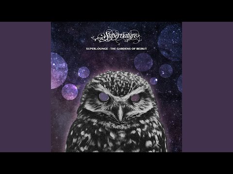 Night Owls And Lovebirds