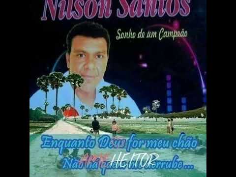 NILSON SANTOS - TARDE DEMAIS