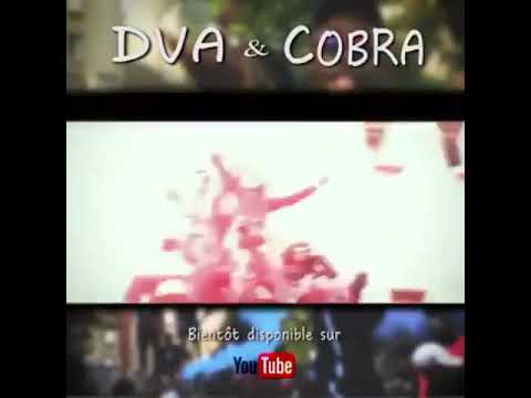[TEASER] Cobra & Dva