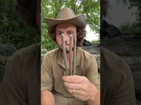 Primitive Live-Catch Trap | Figure 4 Trap #survival #outdoorskills #primitivetechnology #bushcraft