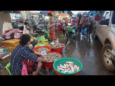 Early Morning Fish Market at Prek Phnov Bridge - Amazing Big Fish Market @Prek Phnov in The Morning