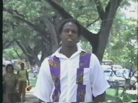 Little Christmas Tree