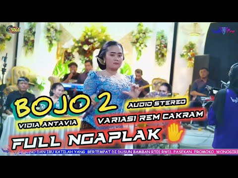 BOJO 2 VIDIA ANTAVIA FULL NGAPLAK TOTAL