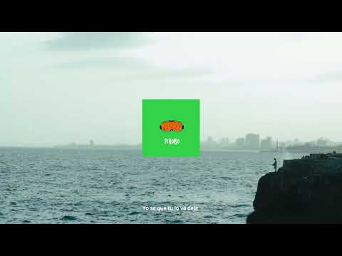 Video thumbnail for PIROBO