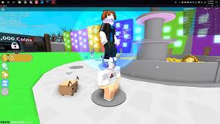 Hey Everyone I M Arpon I Upload Roblox Exploit Videos Sometime - roblox pet simulator making a op gui script for pet simulator