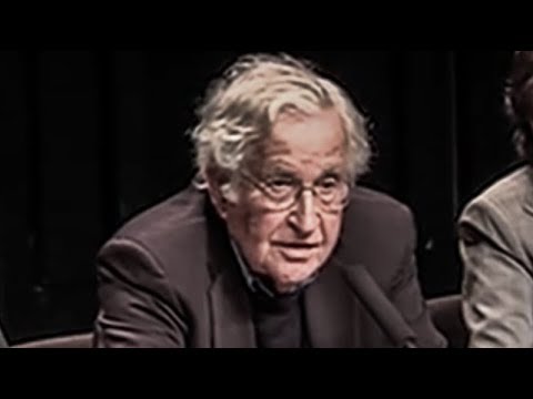 Noam Chomsky - Thought, Meaning, and Reference