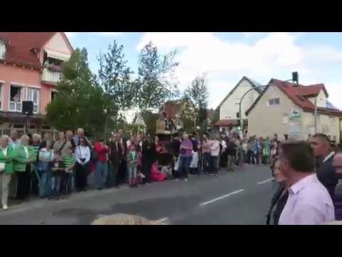 Ilsfelder Holzmarksumzug - Private Realschule im Pfarrhaus