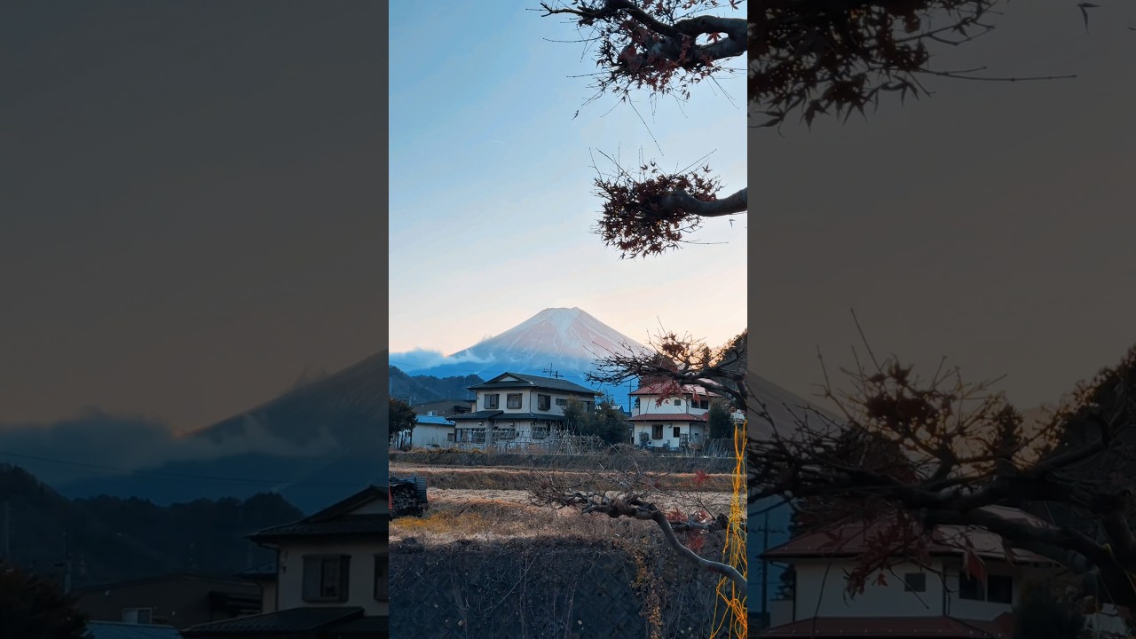 私がいつも見る平凡な景色🛖