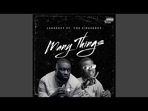 Many Things (feat. The singerboy)