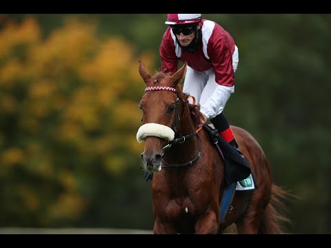 Hannover - 25. Oktober 2020: Großer Preis der Besitzervereinigung (Gr. III) - Sieger: Wonderful Moon