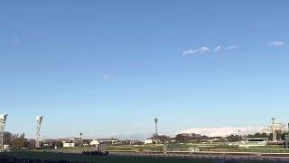 (有馬記念) 場所確保に失敗した現地映像