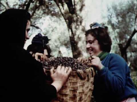 Tempo di raccolta (Luigi di Gianni, 1967) (EN-FR sub)