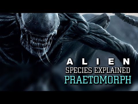 The Praetomorph - Alien Species Explained