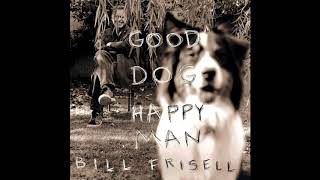Cold, Cold Ground - Bill Frisell |1999|