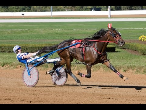 Il Sogno Dream - 2015 Allerage Trot - Red Mile