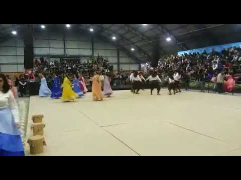 CTG Palanques da Tradição - entrada - Classificatória Juvenart 2015