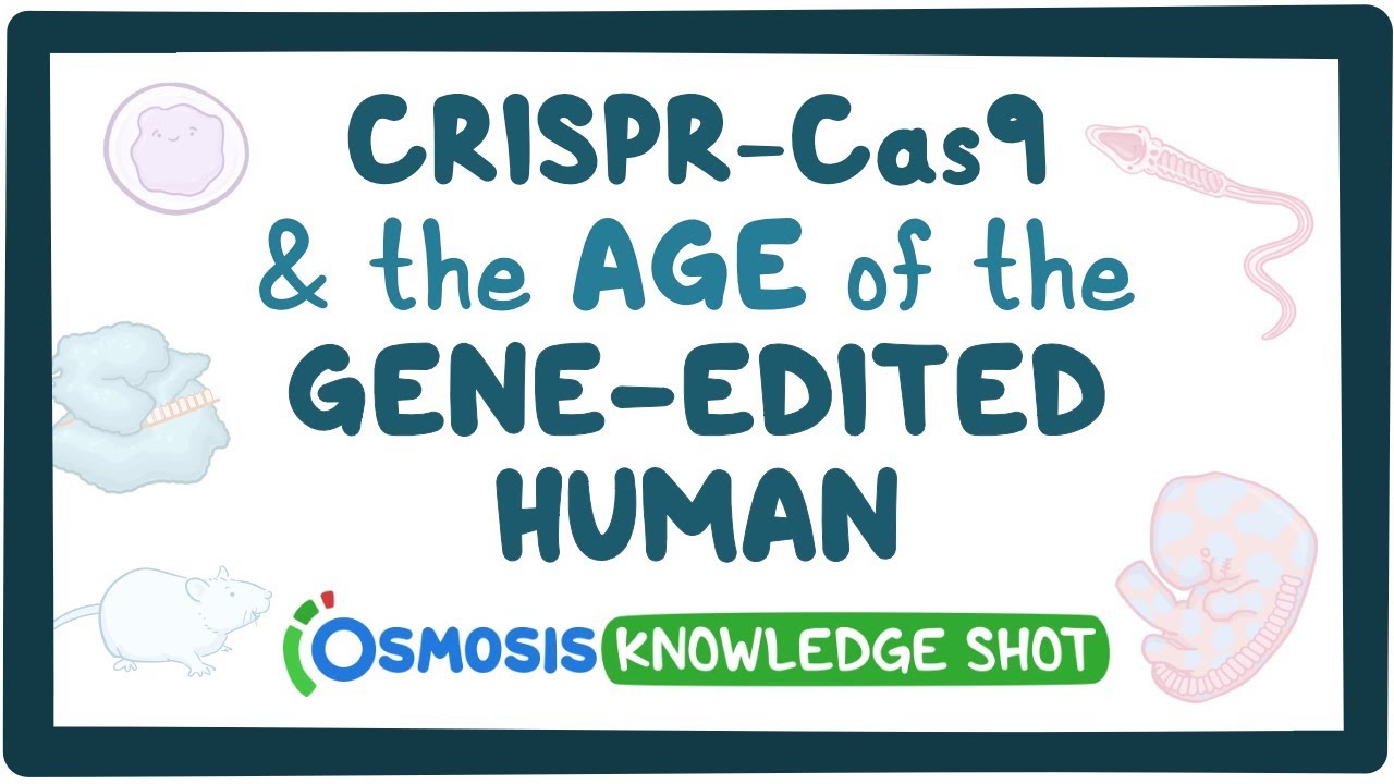 CRISPR-Cas9 and the age of gene-edited humans