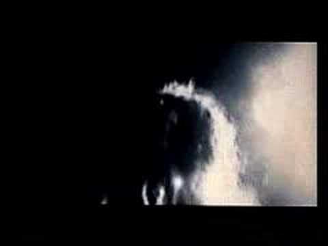 Zatokrev - zatokrev - zato krev